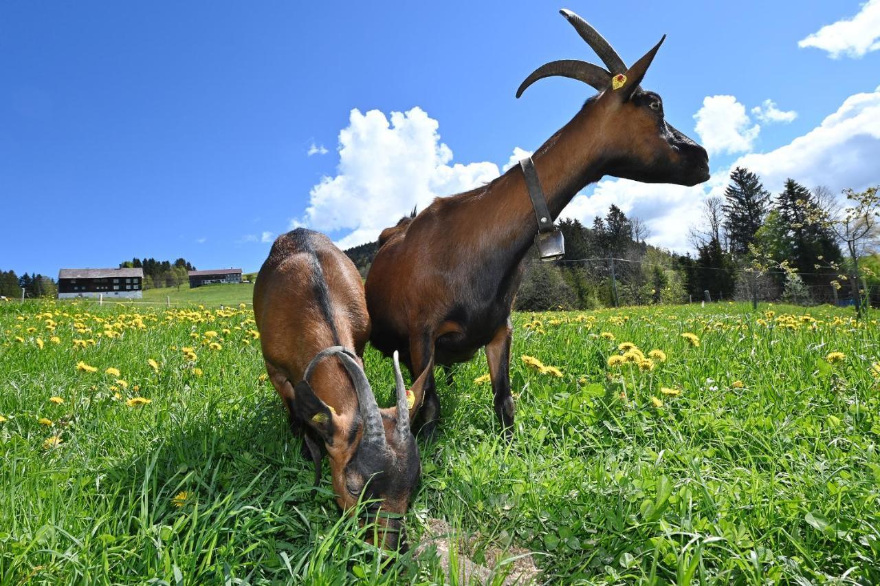 Bauernhof Bilgeri Hittisau Exterior foto