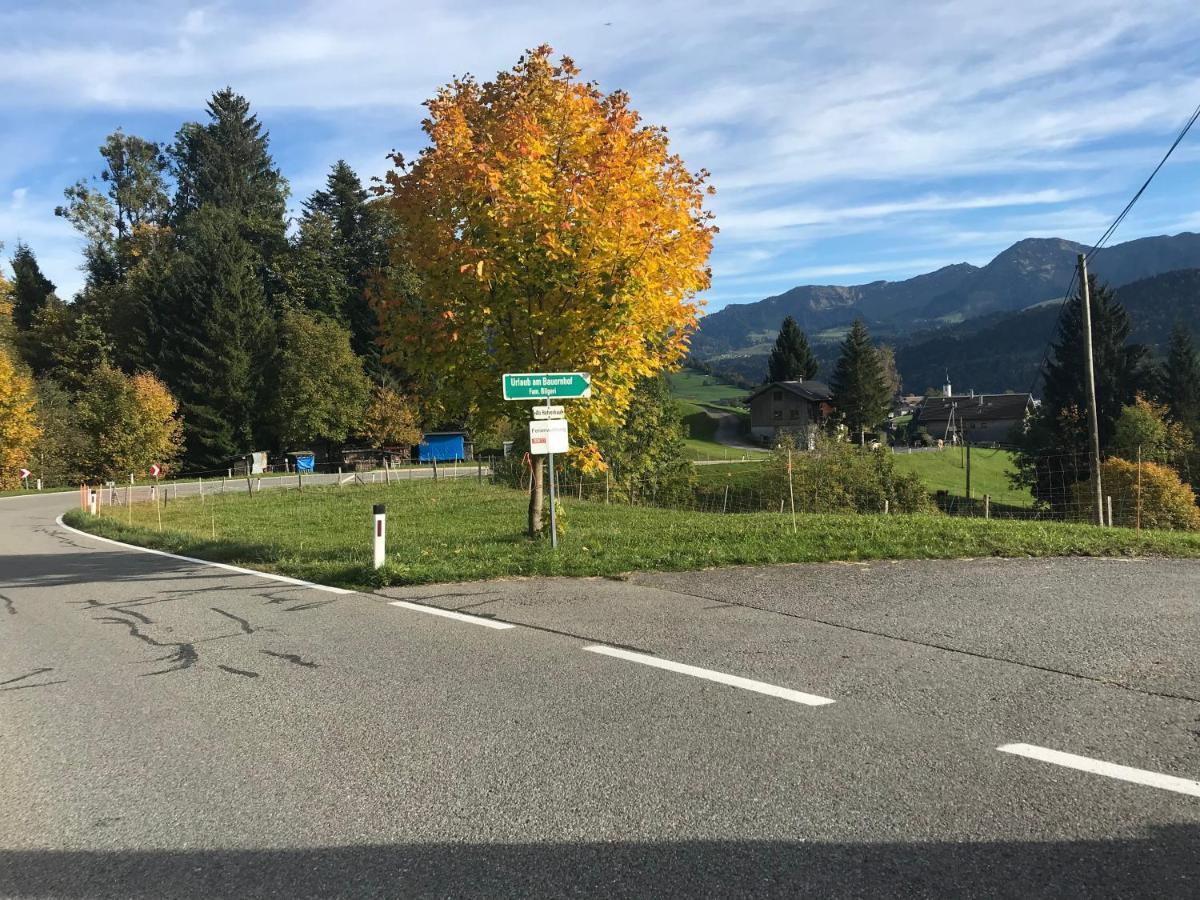 Bauernhof Bilgeri Hittisau Exterior foto