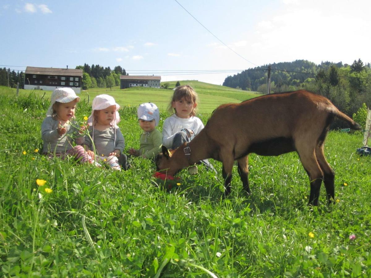 Bauernhof Bilgeri Hittisau Exterior foto